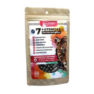CAPS. 7 POTENCIAS EQUINACEA JENGIBRE AJO NEGRO CURCUMA HOJAS DE G UTRILLA ALT