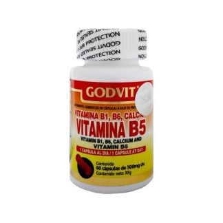 CAPS. VITAMINA B1 B5 B6 Y CALCIO C 60 GN+VIDA