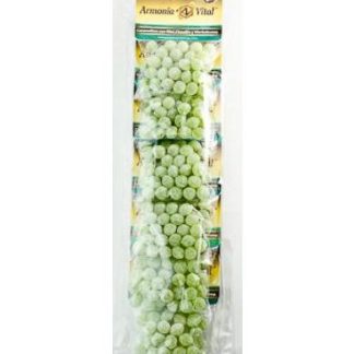 CARAMELO DE CLOROFILA 33 G ARMONIA VITAL P 10