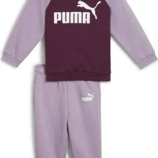 CONJUNTO 2 PIEZAS MINICATS ESS RAGLAN JOGGER FL MORADO PUMA