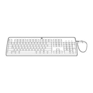 KIT DE TECLADO Y MOUSE HP 631341-B21 USB NEGRO (INGLES)
