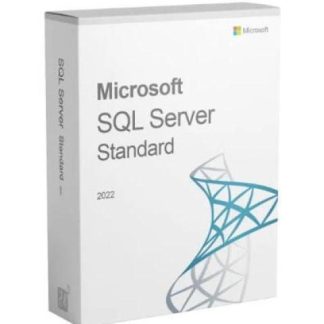 MICROSOFT SQL SERVER 2022 1 LICENCIA WINDOWS CORE 16-19-22