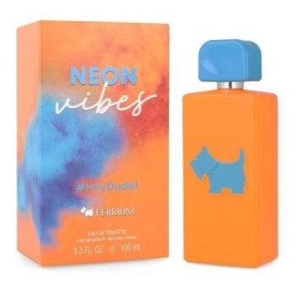 NEON VIBES HEY DUDE! CABALLERO FERRIONI 100 ML EDT SPRAY