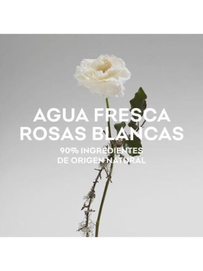 AGUA FRESCA DE ROSAS BLANCAS EDT 120ML PARA MUJER - Image 4