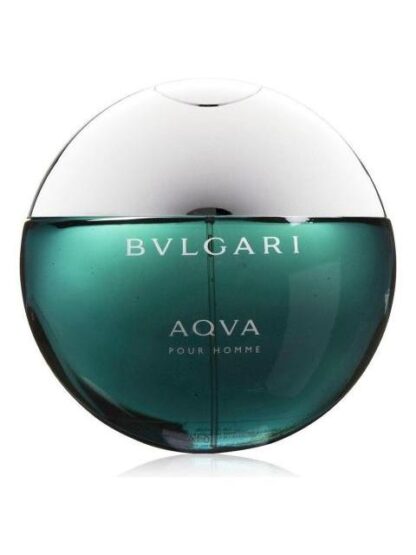 AQVA POUR HOMME CABALLERO BVLGARI 100 ML EDT SPRAY - Image 2