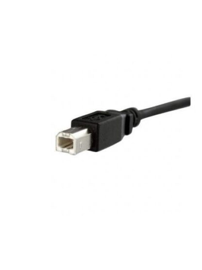 STARTECH  CABLE USB DE MONTAJE EN PANEL USB B MACHO - USB B HEMBRA 30CM NEGRO - Image 3