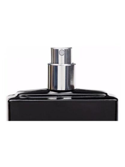 CARLO CORINTO ROUGE DE CARLO CORINTO EAU DE TOILETTE 100 ML - Image 5