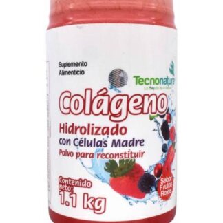 COLAGENO HIDROLIZADO FRUTOS ROJOS 1.1 KG TECNONATURA
