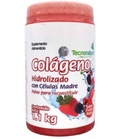 COLAGENO HIDROLIZADO FRUTOS ROJOS 1.1 KG TECNONATURA