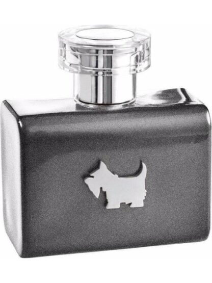 FERRIONI GREY TERRIER 100ML EDT SPRAY - Image 2