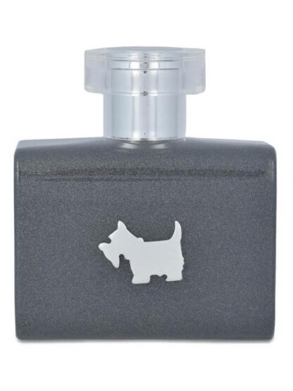 FERRIONI GREY TERRIER 100ML EDT SPRAY - Image 4