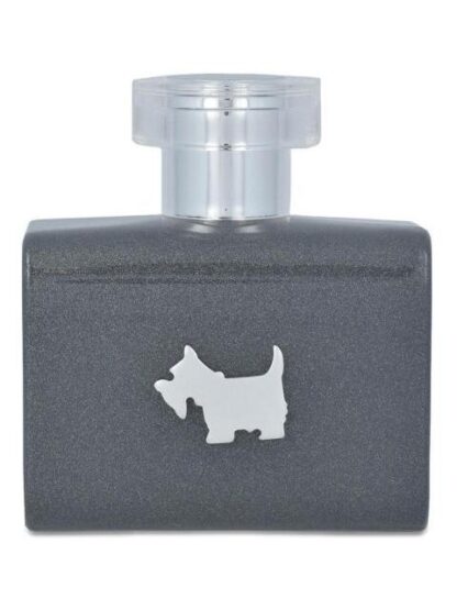 FERRIONI GREY TERRIER CABALLERO 100 ML EDT SPRAY - Image 2