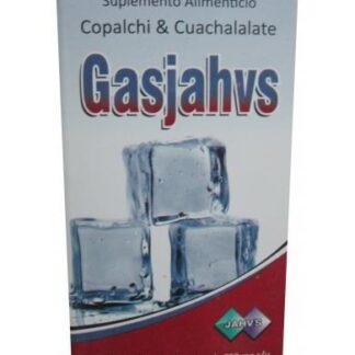 GASJAHVS ANTES GASTRI 100 TAB NATURAL JAHVS