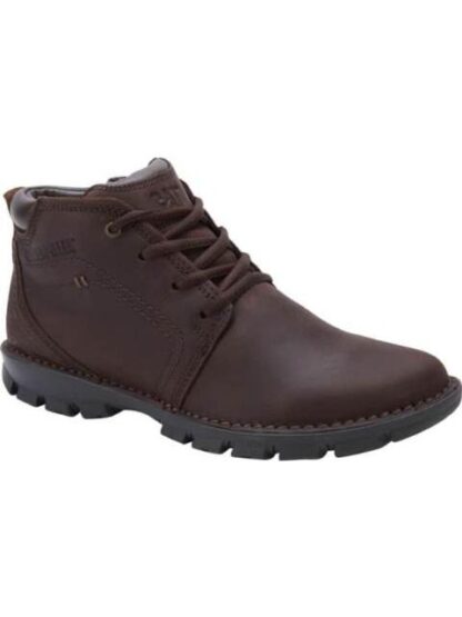 BOTA TRANSFORM CAFE CATERPILLAR - Image 2