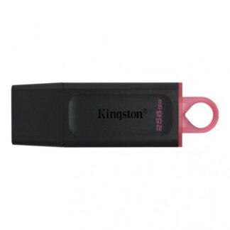 MEMORIA USB KINGSTON DATATRAVELER EXODIA 256GB USB A NEGRO