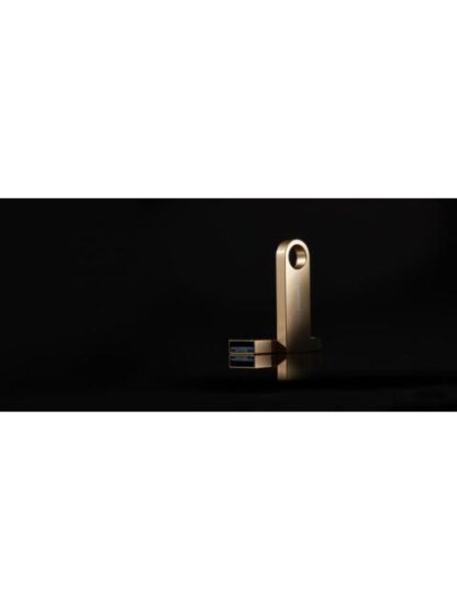MEMORIA USB KINGSTON DATATRAVELER SE9 G3 256GB 3.2 GEN 1 METALICA ORO - Image 8