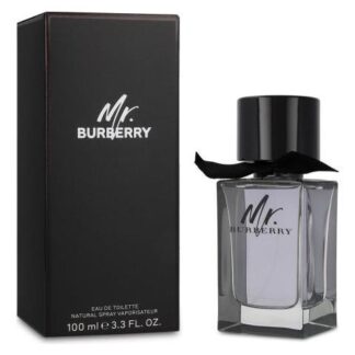 MR BURBERRY 100 ML EDT SPRAY
