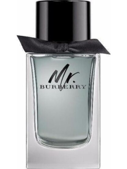 MR BURBERRY CABALLERO 100 ML EDT SPRAY - PERFUME ORIGINAL - Image 2