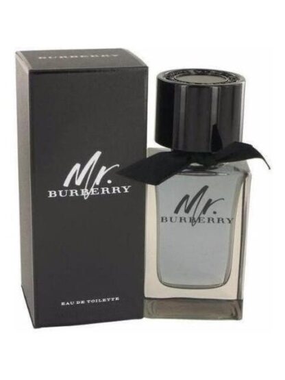 MR BURBERRY CABALLERO 100 ML EDT SPRAY - PERFUME ORIGINAL - Image 3