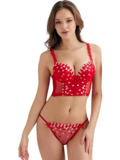 PANTI CORAZONES BORDADOS ROJO LOVE TO LOUNGE