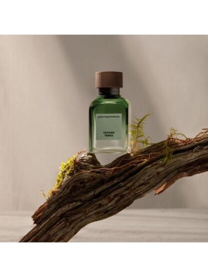 PERFUME ADOLFO DOMINGUEZ VETIVER TERRA 120ML HOMBRE - Image 4