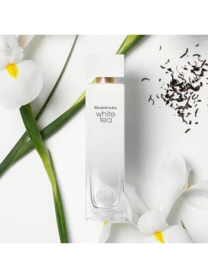 PERFUME WHITE TEA ELIZABETH ARDEN EDT 100 ML - Image 6