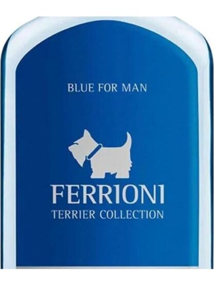 BODY MIST BLUE TERRIER 240ML AZUL FERRIONI - Image 3