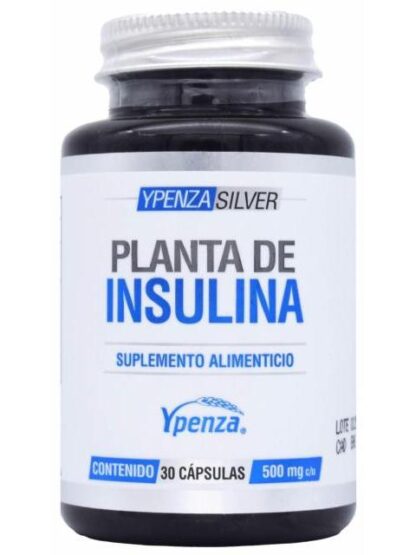 PLANTA DE INSULINA 30 CAP YPENZA SILVER