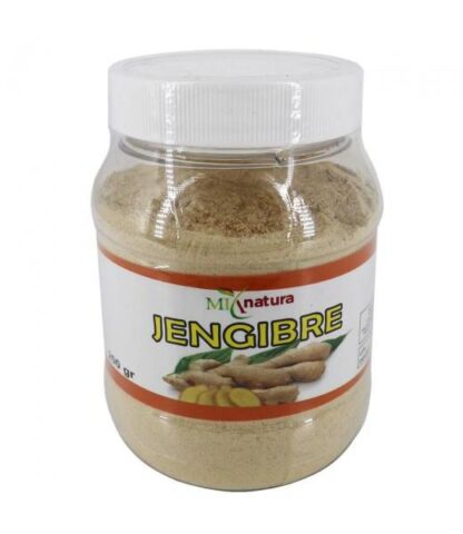POLVO JENJIBRE 200 GRS MIX NATURA