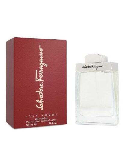 SALVATORE FERRAGAMO 100 ML EDT SPRAY - HOMBRE