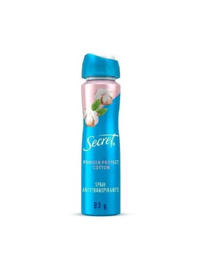 SECRET AP SPRAY POWDER PROTECT 93 GR