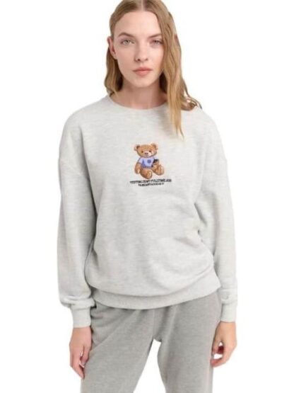 SUDADERA ESTAMPADA GRIS HOLLY LAND - Image 3