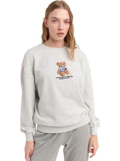 SUDADERA ESTAMPADA GRIS HOLLY LAND - Image 4