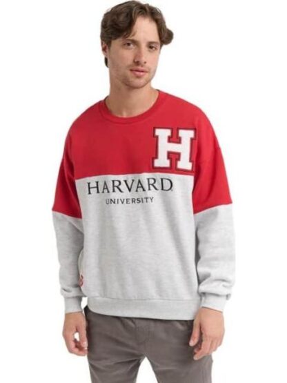 SUDADERA HARVARD BICOLOR HARVARD - Image 2