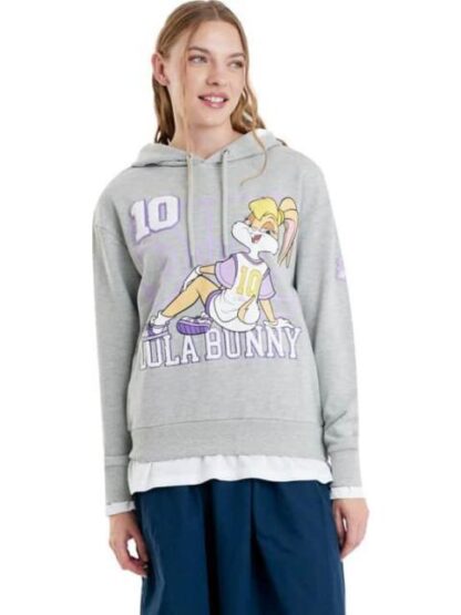 SUDADERA LICENCIA GRIS LOONEY TUNES - Image 2