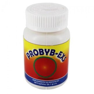 TBS. BYB BOL C 100 (BOLDO) MEZCLA DE PLANTAS DEBYB