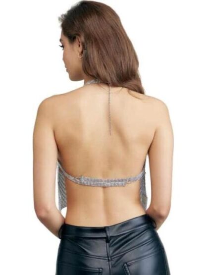 TOP BRILLOS BRILLOS PLATA HOLLY LAND PREMIUM - Image 2
