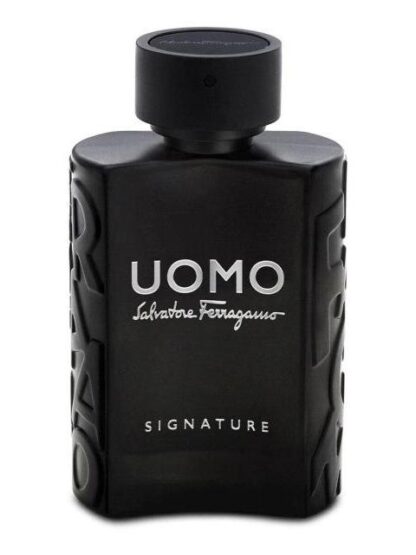 UOMO SIGNATURE SALVATORE FERRAGAMO 100 ML EDP SPRAY - Image 2