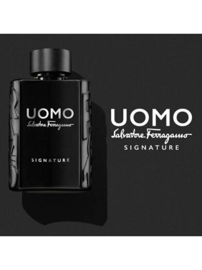 UOMO SIGNATURE SALVATORE FERRAGAMO 100 ML EDP SPRAY - Image 3