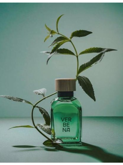 ADOLFO DOMINGUEZ VERBENA EDT 120ML PERFUME PARA HOMBRE - Image 5