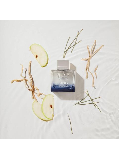 ANTONIO BANDERA KING OF SEDUCTION FOR MEN 100ML EDT - Image 3