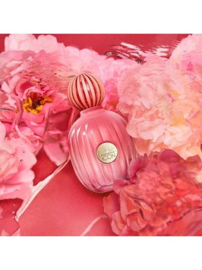 ANTONIO BANDERAS THE ICON SPLENDID 100ML EDP - Image 4