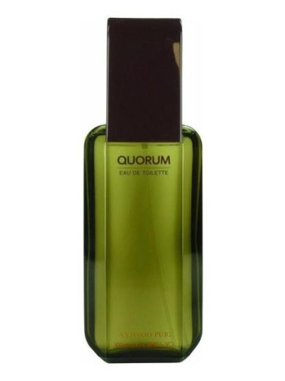 ANTONIO PUIG QUORUM PERFUME 100 ML EAU DE TOILETTE PARA HOMBRE - Image 4
