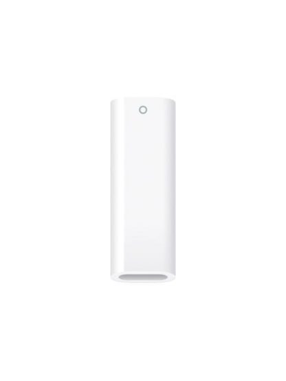 APPLE LAPIZ DIGITAL PENCIL USB C PARA IPAD BLANCO