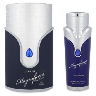 ARMAF MAGNIFICIENT BLUE POUR HOMME 100ML EDP SPRAY - CABALLE