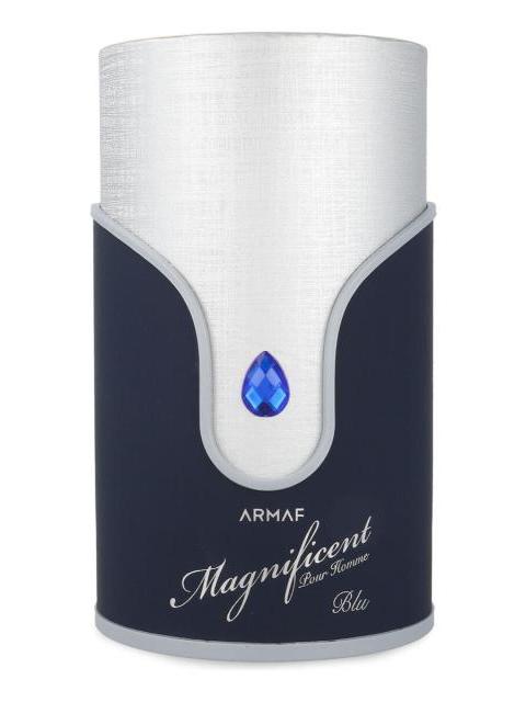 ARMAF MAGNIFICIENT BLUE POUR HOMME 100ML EDP SPRAY - CABALLE - Image 3