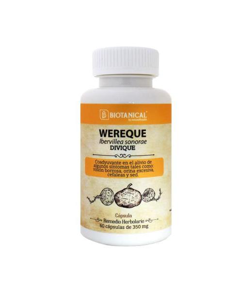 CAPS. WEREQUE IBERVILLEA SONORAE DIVIQUE C 60 350MG OLAS