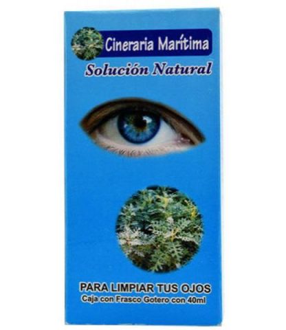 CINERARIA MARITIMA 40 ML DINA