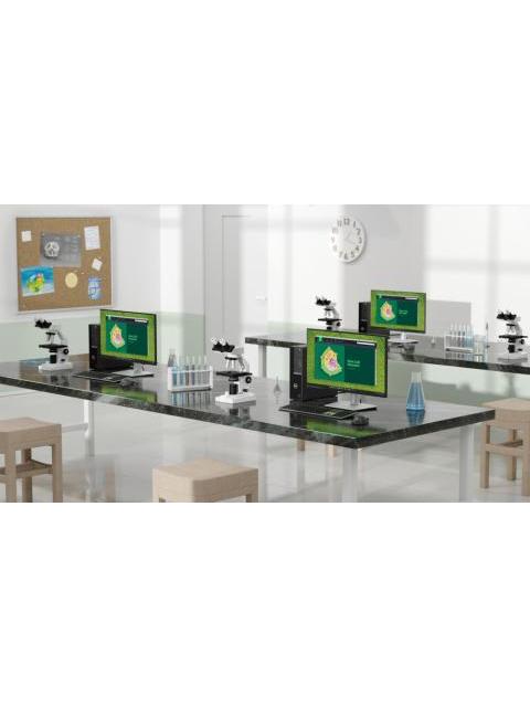 COMPUTADORA DELL OPTIPLEX 7020 SFF INTEL CORE I5-14500 2.60GHZ 16GB 512GB SSD WINDOWS 11 PRO - Image 6