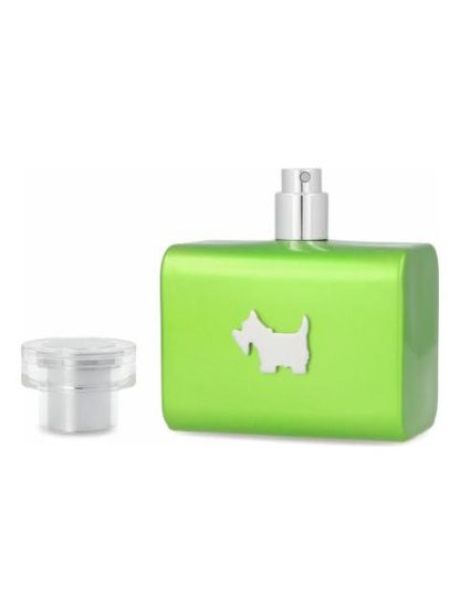 FERRIONI GREEN TERRIER 100 ML EDT SPRAY - DAMA - Image 3